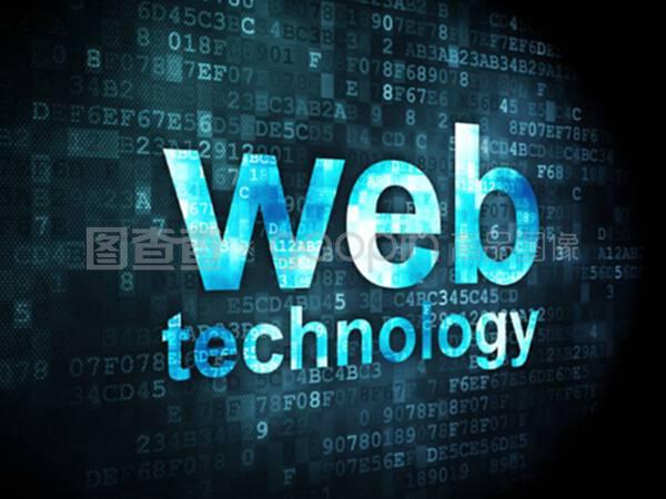 數(shù)字背景下的SEO網(wǎng)絡(luò)開(kāi)發(fā) 技術(shù)與策略解析