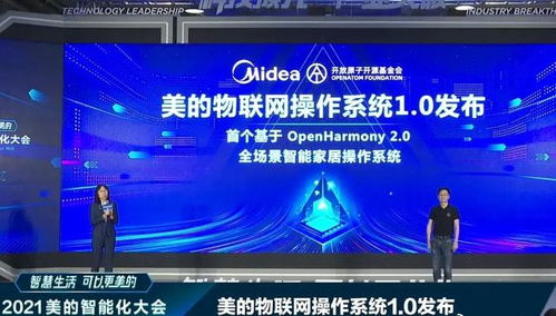 雪中送炭 4800億巨頭接入鴻蒙，華為網絡技術開發的堅守終見曙光