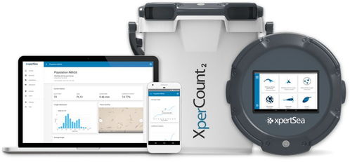 物聯互聯，智能養殖 網絡技術如何重塑現代水產養殖業